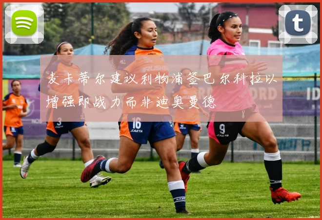 麦卡蒂尔建议利物浦签巴尔科拉以增强即战力而非迪奥曼德
