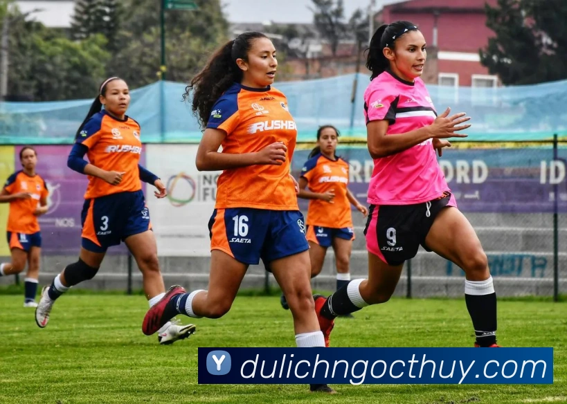 App 示例图